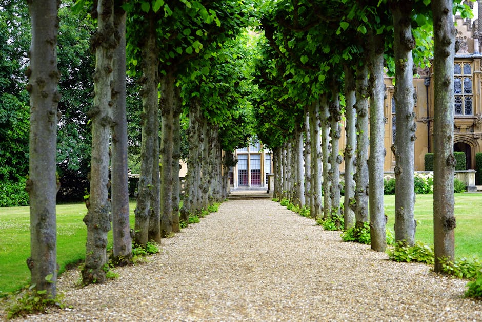 walkway mulch