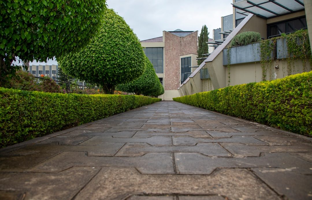 rubber stone paving