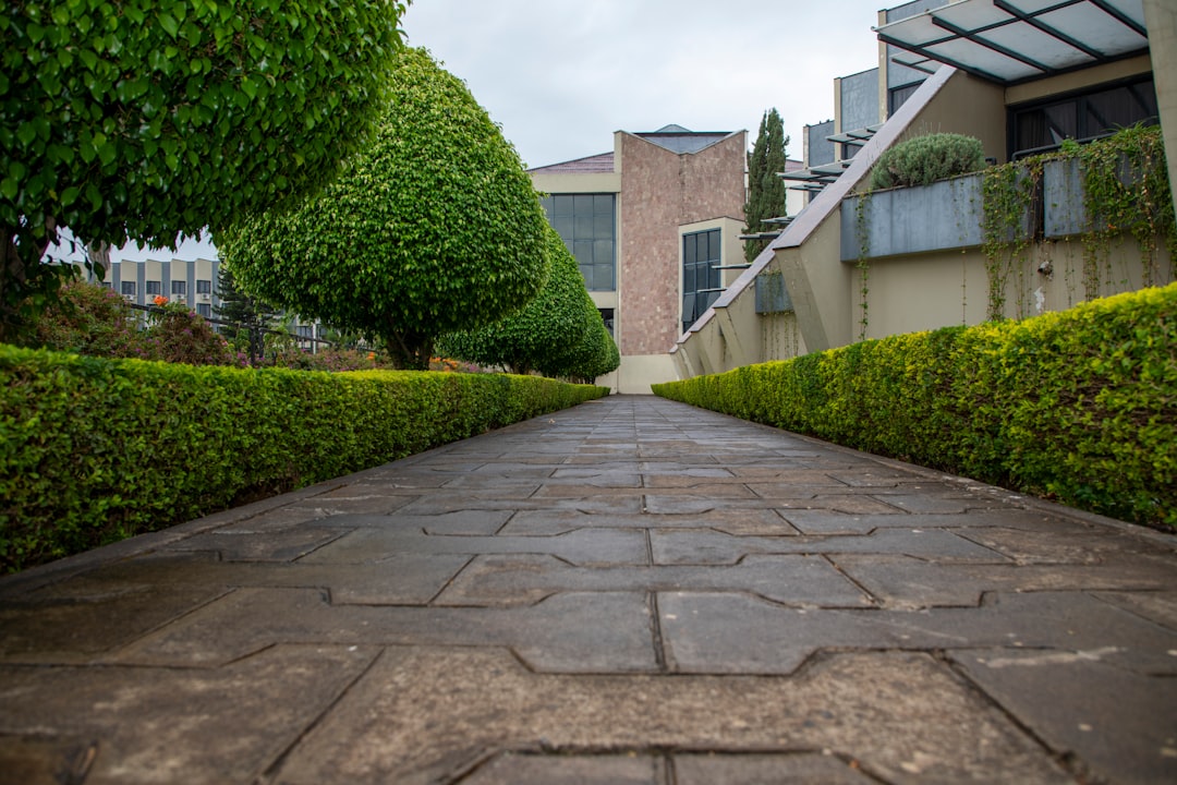 rubber stone paving